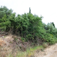 Остров в Греции, Ионические острова, Корфу, 13000 кв.м.