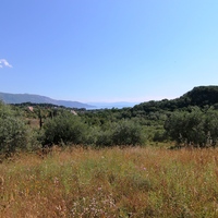 Остров в Греции, Ионические острова, Корфу, 5996 кв.м.