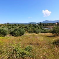 Остров в Греции, Ионические острова, Корфу, 5996 кв.м.