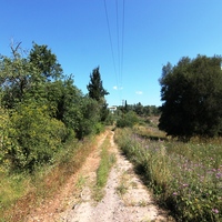 Остров в Греции, Ионические острова, Корфу, 5996 кв.м.