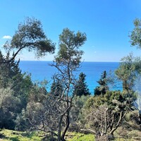 Остров в Греции, Ионические острова, Корфу, 4000 кв.м.