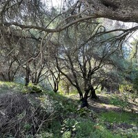 Остров в Греции, Ионические острова, Корфу, 4000 кв.м.