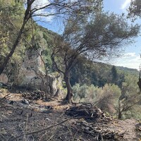 Остров в Греции, Ионические острова, Корфу, 6260 кв.м.