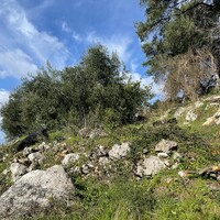Остров в Греции, Ионические острова, Корфу, 6260 кв.м.