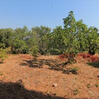 Island in Greece, Ionian Islands, Corfu, 2020 sq.m.