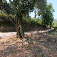 Island in Greece, Ionian Islands, Corfu, 2020 sq.m.