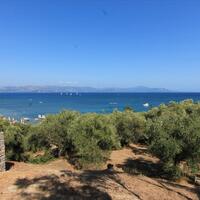 Island in Greece, Ionian Islands, Corfu, 42000 sq.m.