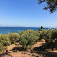 Island in Greece, Ionian Islands, Corfu, 42000 sq.m.