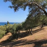 Island in Greece, Ionian Islands, Corfu, 42000 sq.m.