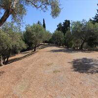 Island in Greece, Ionian Islands, Corfu, 42000 sq.m.