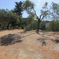 Island in Greece, Ionian Islands, Corfu, 42000 sq.m.