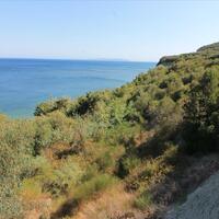 Island in Greece, Ionian Islands, Corfu, 42000 sq.m.