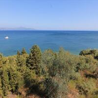 Island in Greece, Ionian Islands, Corfu, 42000 sq.m.