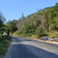 Island in Greece, Ionian Islands, Corfu, 2000 sq.m.