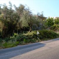 Island in Greece, Ionian Islands, Corfu, 2000 sq.m.