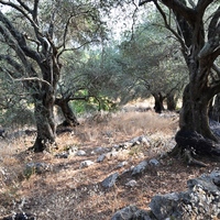 Island in Greece, Ionian Islands, Corfu, 6500 sq.m.