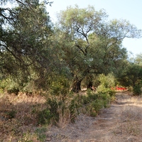 Island in Greece, Ionian Islands, Corfu, 6500 sq.m.