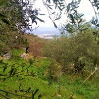 Island in Greece, Ionian Islands, Corfu, 4363 sq.m.