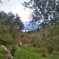 Island in Greece, Ionian Islands, Corfu, 4363 sq.m.