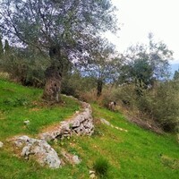 Island in Greece, Ionian Islands, Corfu, 4363 sq.m.