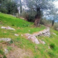 Island in Greece, Ionian Islands, Corfu, 4363 sq.m.
