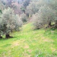 Island in Greece, Ionian Islands, Corfu, 4363 sq.m.