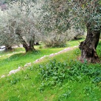 Island in Greece, Ionian Islands, Corfu, 4363 sq.m.