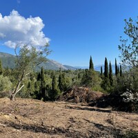 Island in Greece, Ionian Islands, Corfu, 4100 sq.m.
