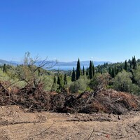 Island in Greece, Ionian Islands, Corfu, 4100 sq.m.