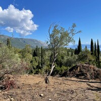 Island in Greece, Ionian Islands, Corfu, 4100 sq.m.
