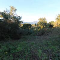 Island in Greece, Ionian Islands, Corfu, 5740 sq.m.