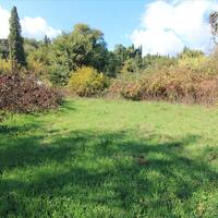 Island in Greece, Ionian Islands, Corfu, 1000 sq.m.