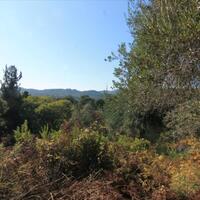 Island in Greece, Ionian Islands, Corfu, 2300 sq.m.