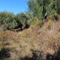 Island in Greece, Ionian Islands, Corfu, 2300 sq.m.