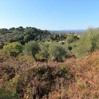 Island in Greece, Ionian Islands, Corfu, 6000 sq.m.