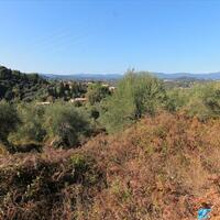 Island in Greece, Ionian Islands, Corfu, 6000 sq.m.