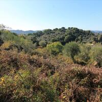 Island in Greece, Ionian Islands, Corfu, 6000 sq.m.