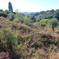 Island in Greece, Ionian Islands, Corfu, 6000 sq.m.