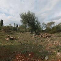 Island in Greece, Ionian Islands, Corfu, 6500 sq.m.