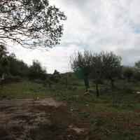 Island in Greece, Ionian Islands, Corfu, 6500 sq.m.