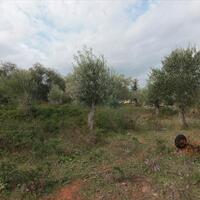 Island in Greece, Ionian Islands, Corfu, 6500 sq.m.