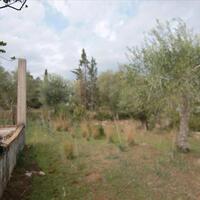 Island in Greece, Ionian Islands, Corfu, 6500 sq.m.