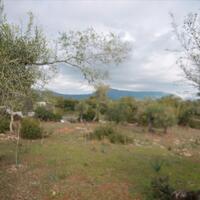 Island in Greece, Ionian Islands, Corfu, 6500 sq.m.