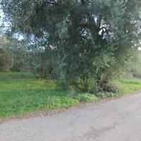 Island in Greece, Ionian Islands, Corfu, 2500 sq.m.