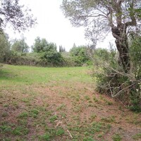 Island in Greece, Ionian Islands, Corfu, 2745 sq.m.