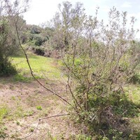 Island in Greece, Ionian Islands, Corfu, 2745 sq.m.