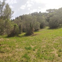 Island in Greece, Ionian Islands, Corfu, 2745 sq.m.