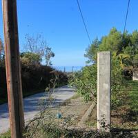Island in Greece, Ionian Islands, Corfu, 1400 sq.m.