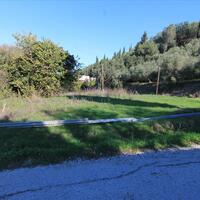 Island in Greece, Ionian Islands, Corfu, 1400 sq.m.