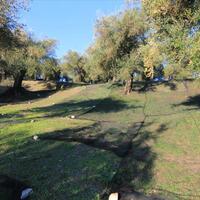 Остров в Греции, Ионические острова, Корфу, 574 кв.м.